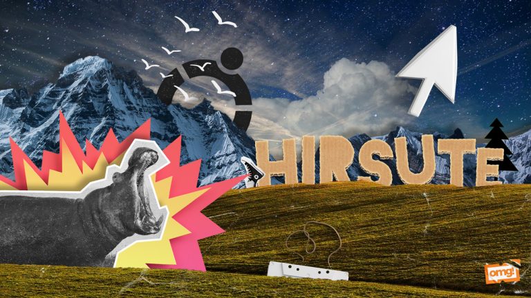 Hirsute Hippo - Cover by OMG Ubuntu
